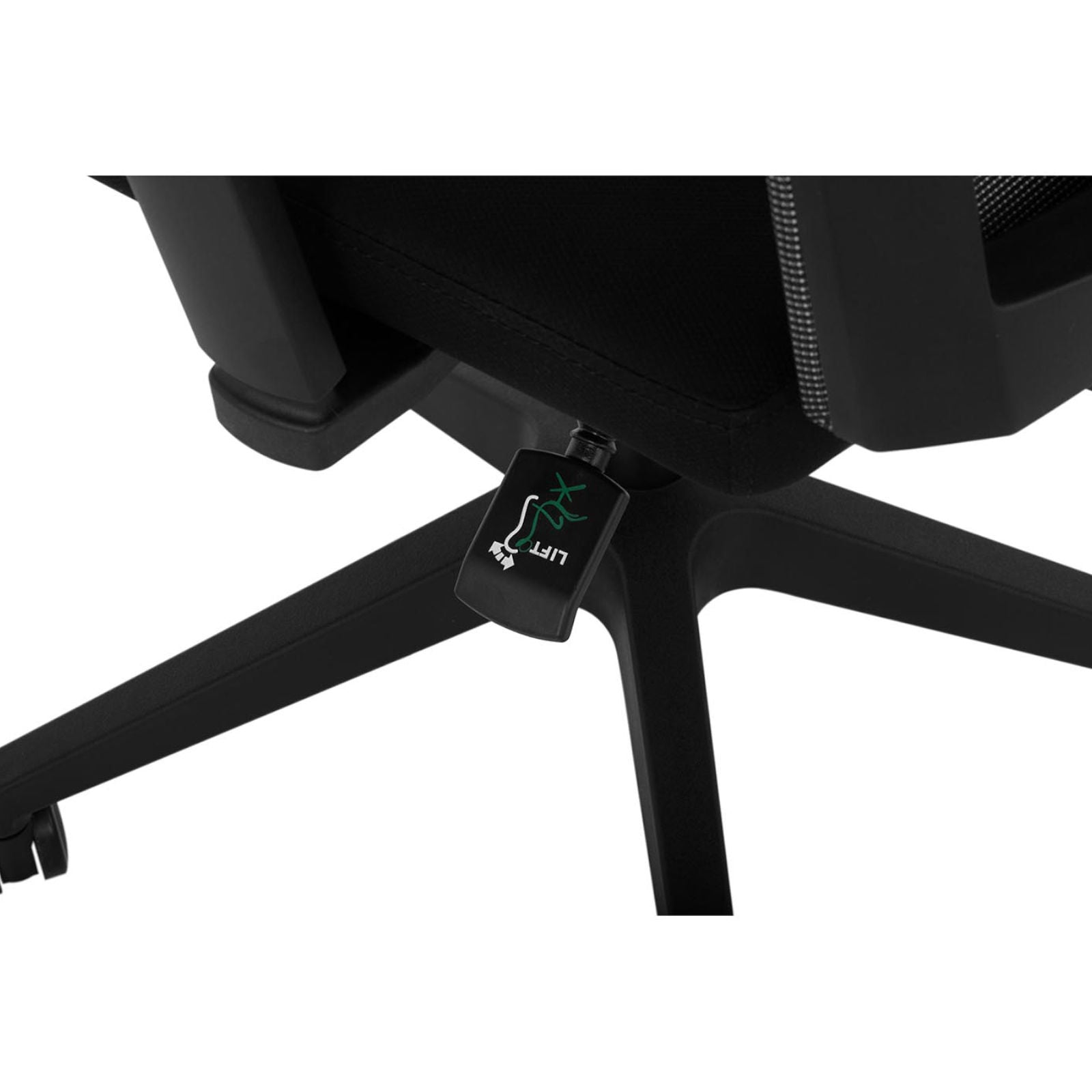 1f82628a57562528956c543192c776d8