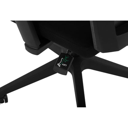 1f82628a57562528956c543192c776d8